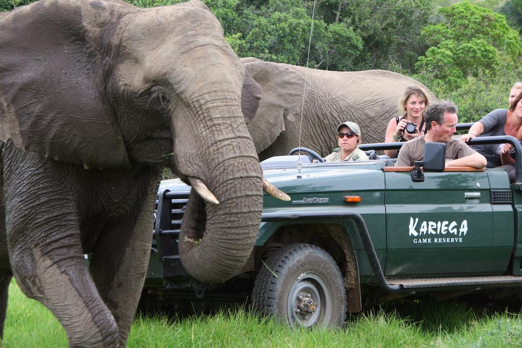 Kariega Game Reserve River Lodge Кентон-он-Си Экстерьер фото