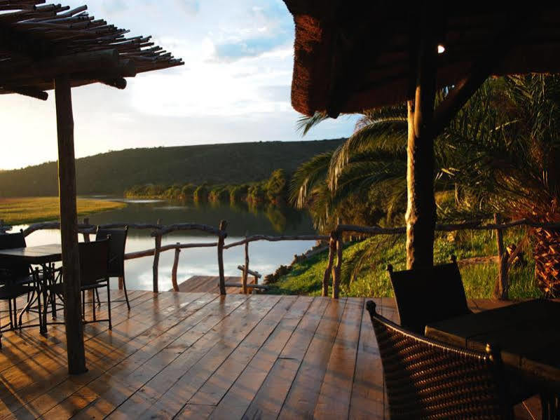 Kariega Game Reserve River Lodge Кентон-он-Си Экстерьер фото
